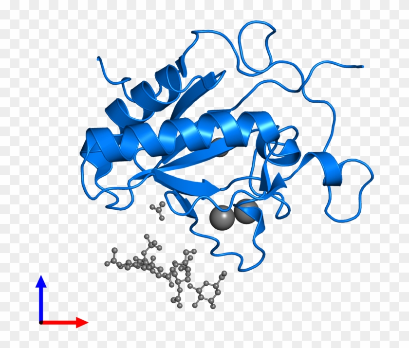 M contains. Биоинформатика белков. PDB белки. PDB Protein data Bank. Structural classification of Proteins database.