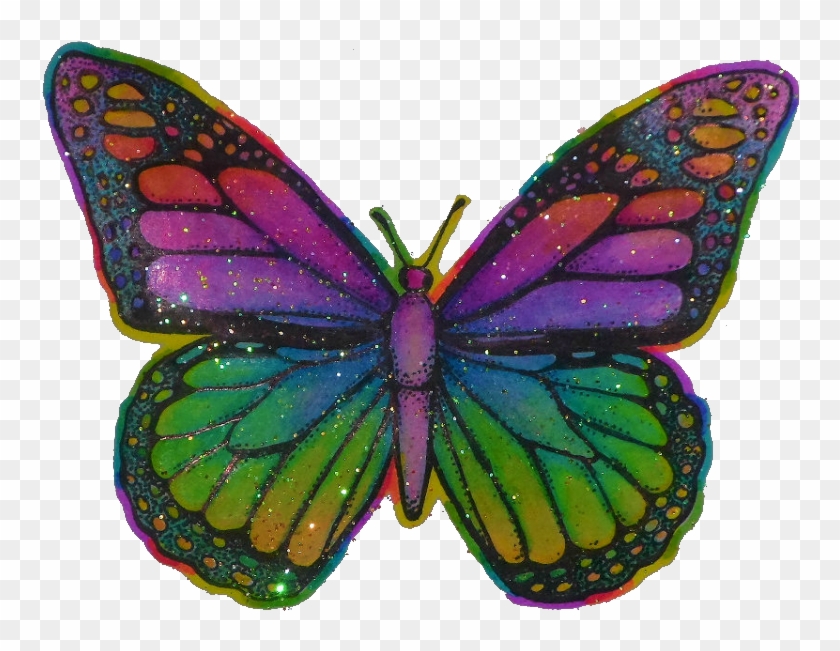 Butterfly Hippy Trippy Psychedelic Tumblr Aesthetic Trippy Butterfly Png Transparent Png 817x647 Pngfind