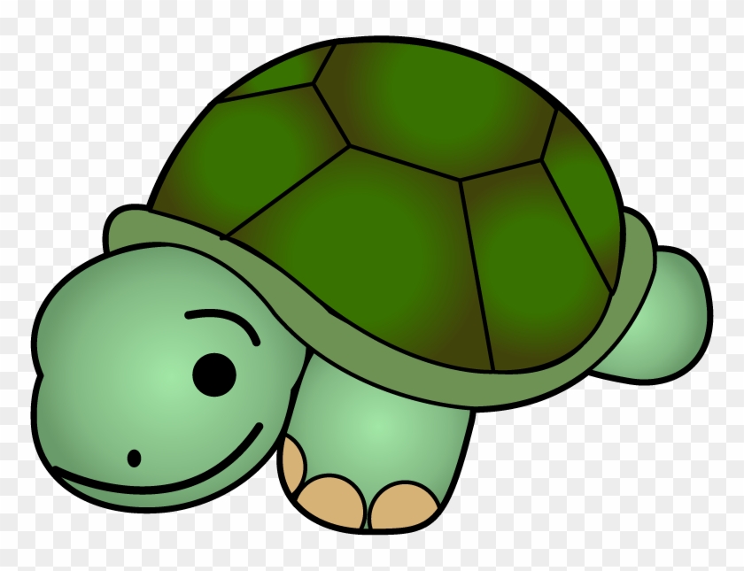 Turtle Clipart Clipart Cliparts For You Turtle Clipart Hd Png Download 772x565 4757 Pngfind