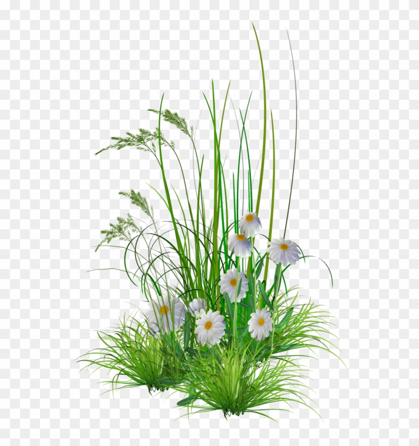 Imagens de jardim de flores png