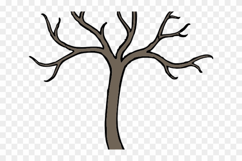 Cartoon Tree Branch Drawing Hd Png Download 640x480 4212557 Pngfind