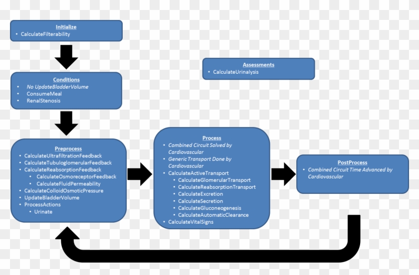 The Data Flow For The Renal System Consists Of Preprocess, - Excretory