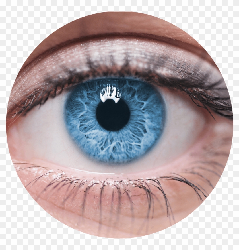 Olho Png Download Real People With Blue Eyes Transparent Png 1235x1231 4275791 Pngfind