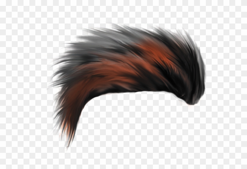 Hair Png - Hair Png Cb Edit, Transparent Png - 675x670(#4298765) - PngFind
