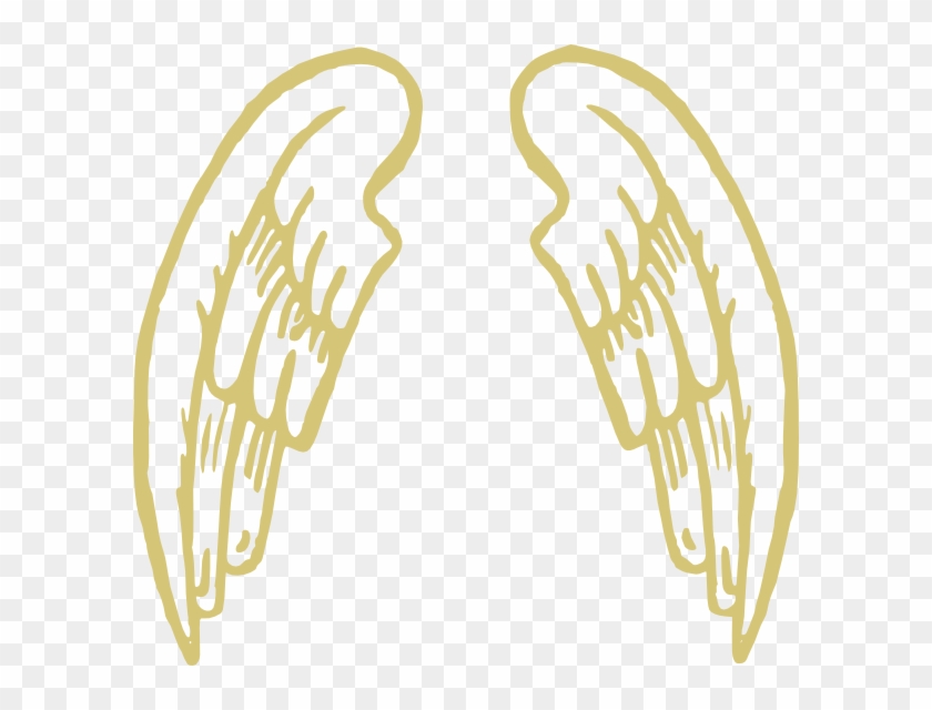 Golden Snitch Wings Clipart Cartoon Angel Wings Png Transparent Png 600x560 438309 Pngfind