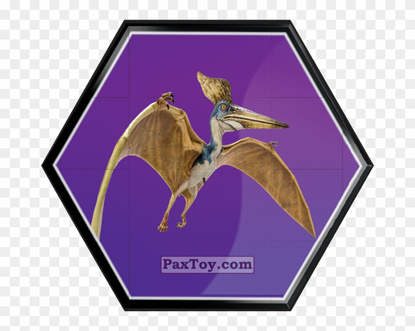lego jurassic world carrefour