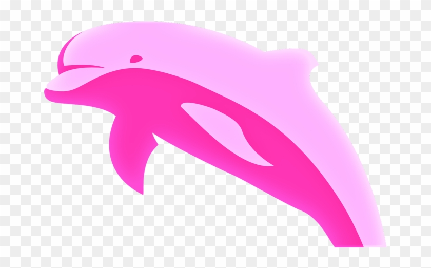 Delfãn-rosado - Amazon River Dolphin Cartoon, HD Png Download -  800x441(#4334520) - PngFind