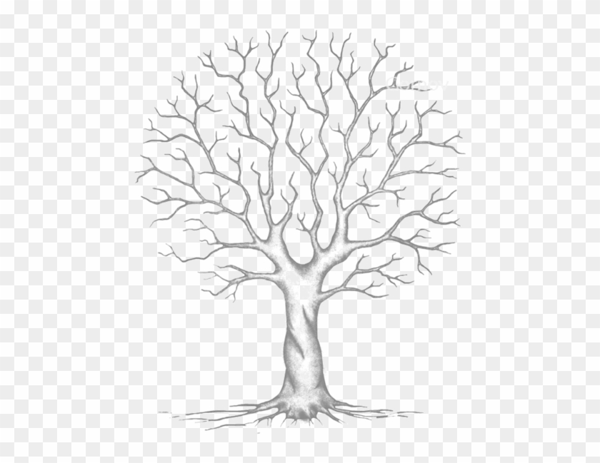 how to draw a tree without leaves