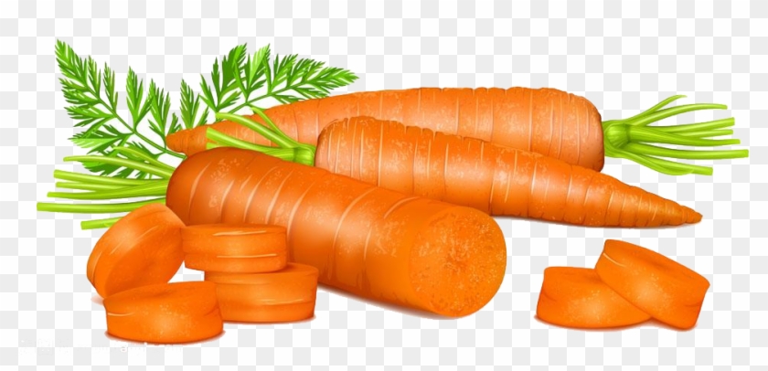 Free Carrot Clipart Drawing Carrot Hd Png Download 1000x906 4382815 Pngfind