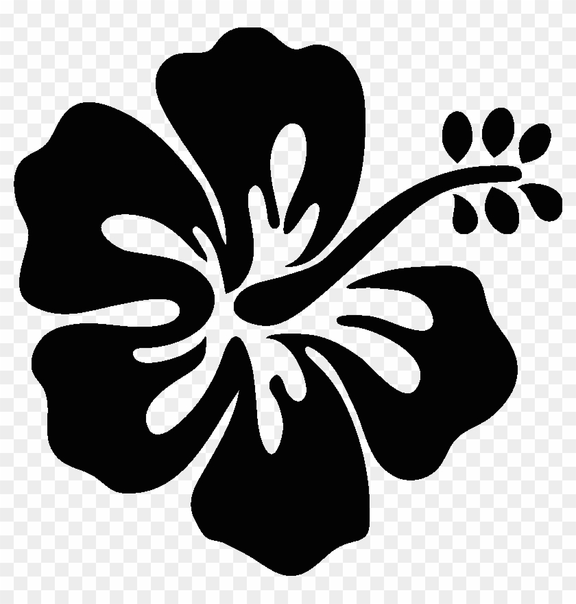 Hibiscus Dessin Png Hibiscus Clip Art Transparent Png 800x800 Pngfind