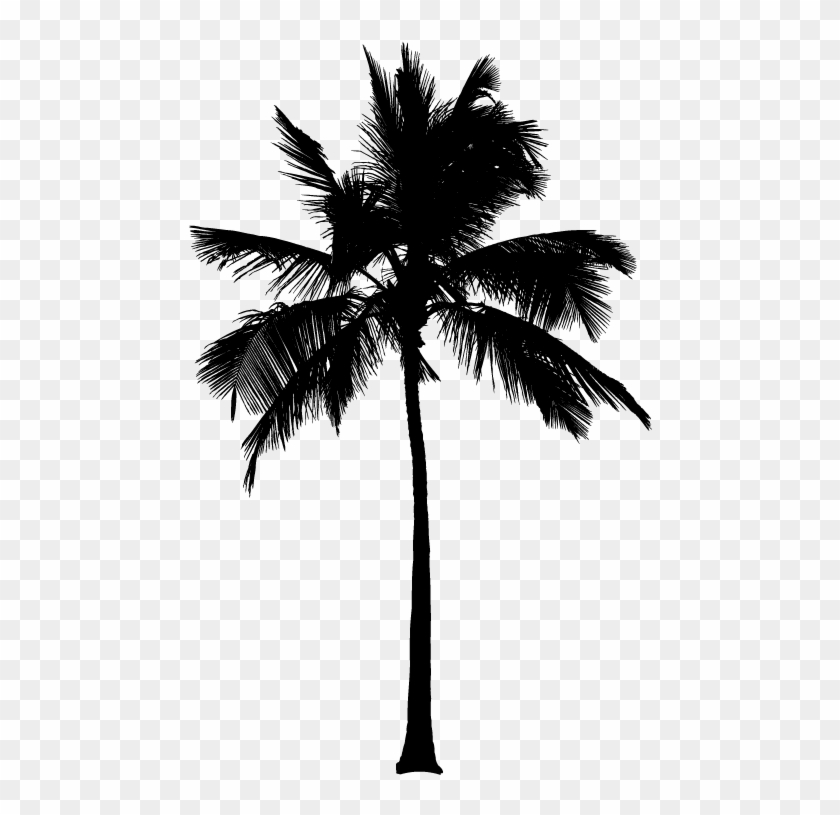 15 Black And White Palm Tree Png For On Mbtskoudsalg - 80s Palm Tree
