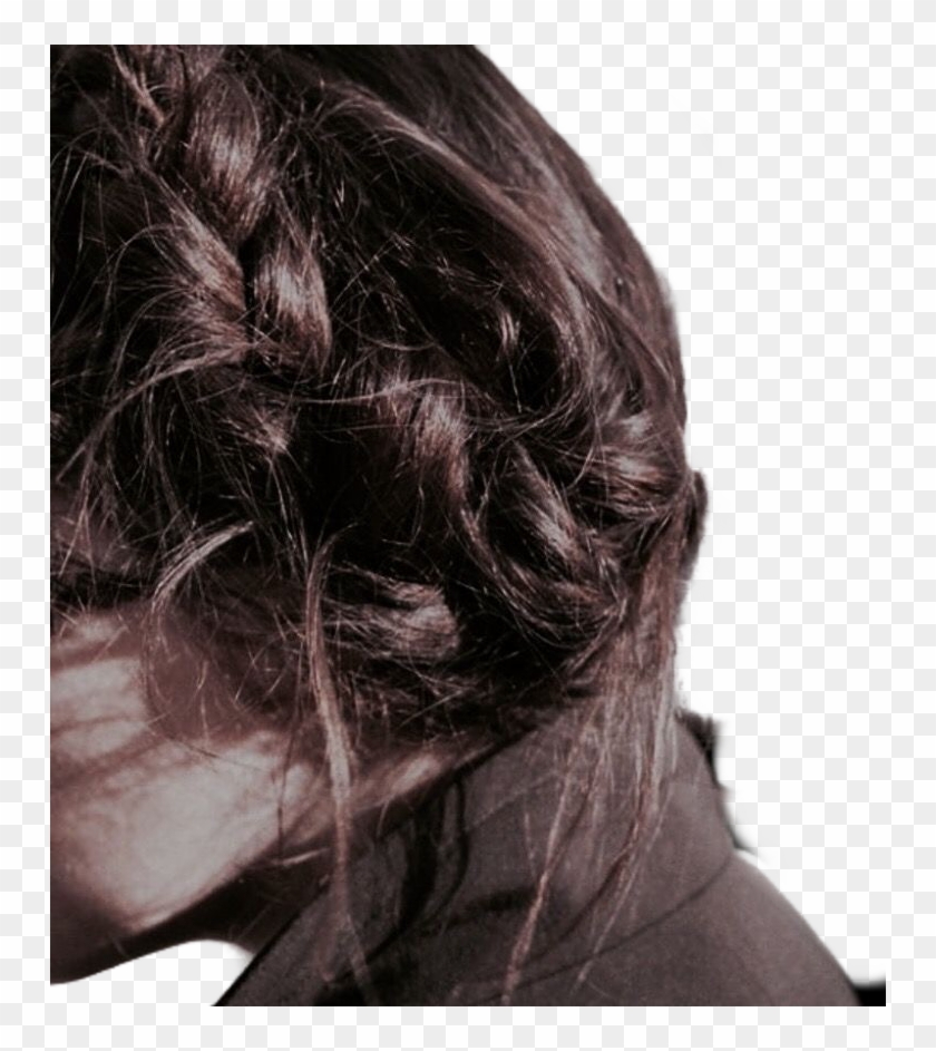 Bridget Satterlee Katniss Everdeen Character Aesthetic Braid Hd Png Download 750x863 4434829 Pngfind