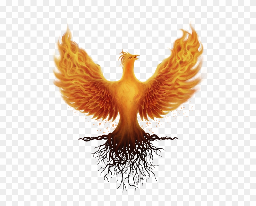 Ashes Of Creation Phoenix, HD Png Download - 683x683(#4450834) - PngFind