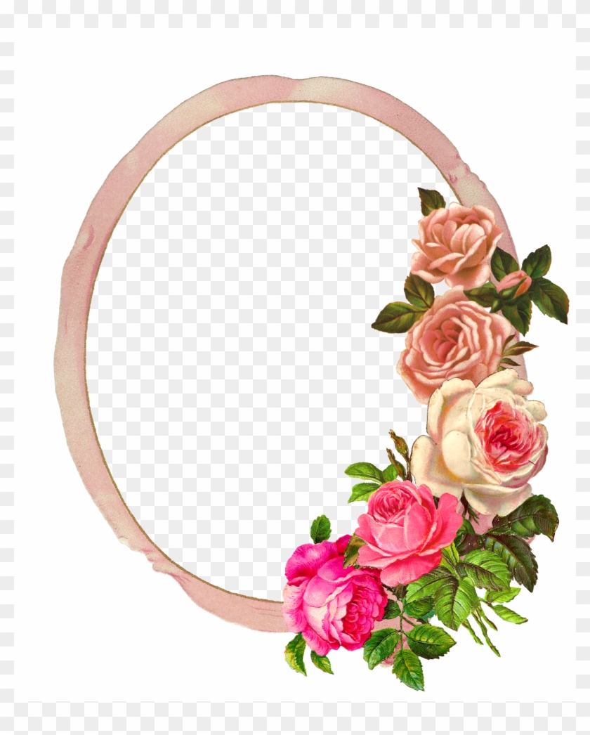Digital Rose Frame - Rose Flower Border, Hd Png Download -  1335X1600(#455321) - Pngfind