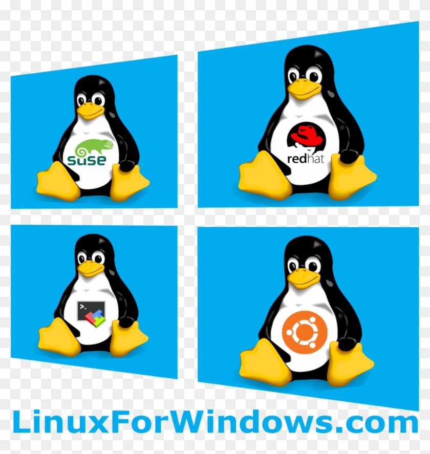 Linux For Windows - Linux, HD Png Download - 1024x1024(#455675) - PngFind