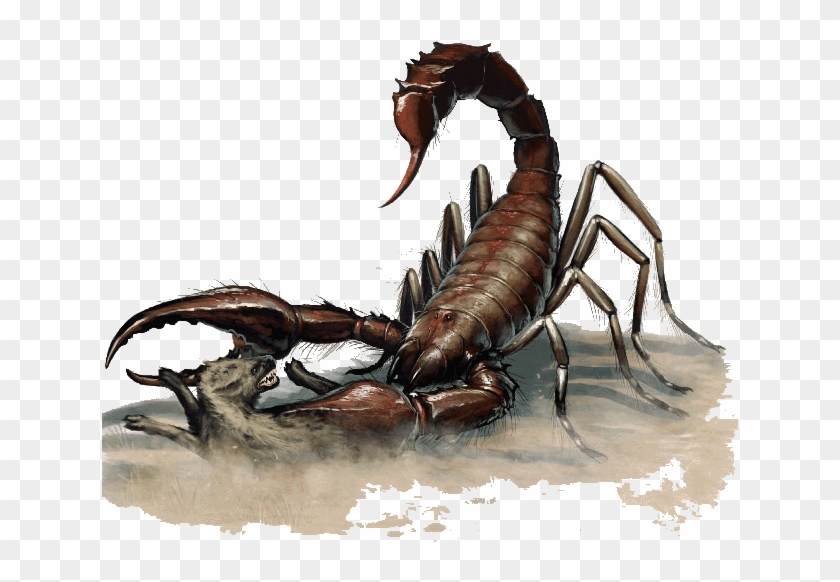 Dnd 5e Giant Scorpion , Png Download - Giant Scorpion Dnd 5e