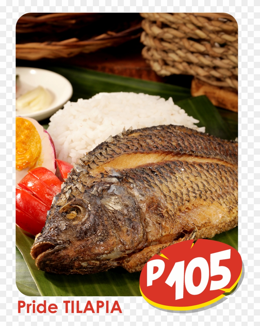 Tilapia Binalot Tilapia Hd Png Download 742x1034 4511129