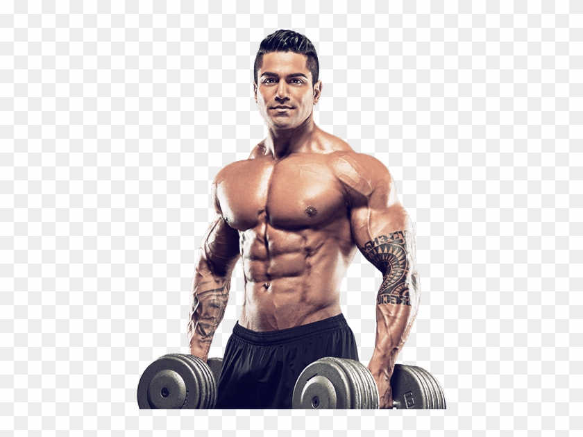 Bodybuilding Png Muscletech Testosterone Before And After Transparent Png 600x550 Pngfind