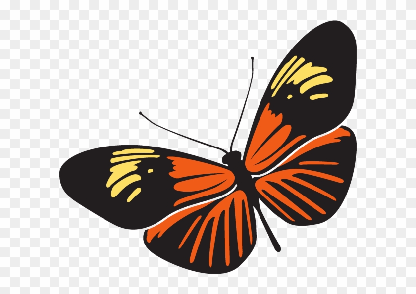 Rama-rama Is The Malaysian Word For Butterfly - Rama Rama Clipart Png
