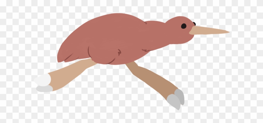 For The Kiwi Bird, We Wanted It To Have A Bounce And - Illustration, HD Png Download - 800x500(#4550675) - PngFind For The Kiwi Bird, We Wanted It To Have A Bounce And - Illustration, HD Png Download - 800x500(#4550675) - PngFind