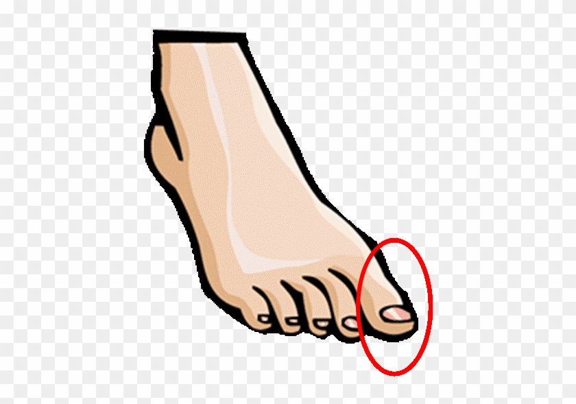 Toe Png, Transparent Png - 686x515 