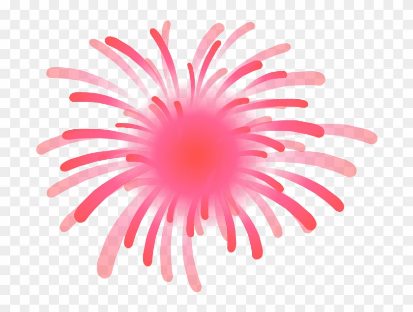 Fogos De Artificio - Sea Anemone, HD Png Download - 696x555(#4556575) -  PngFind