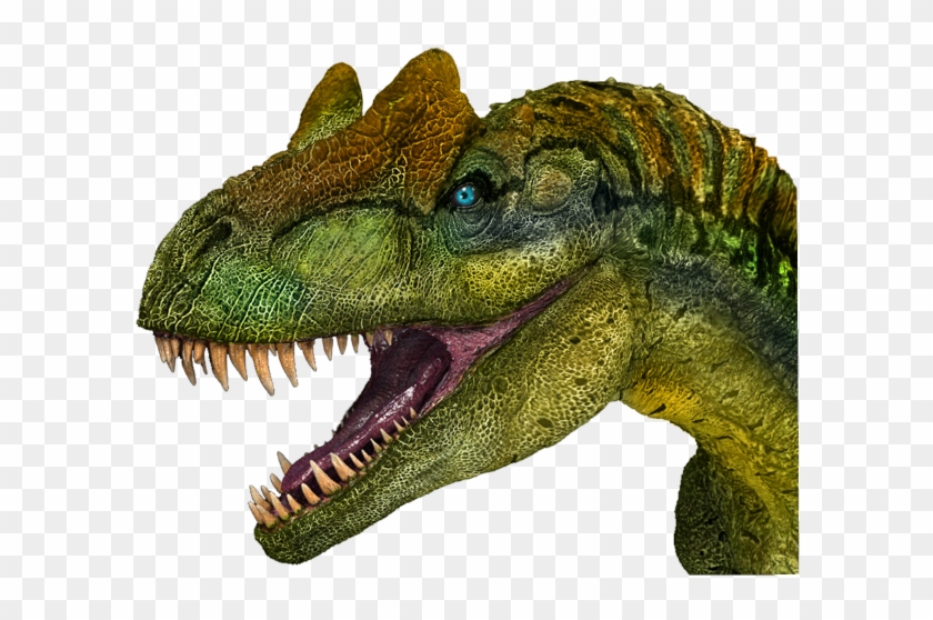 Dinosaur Head Fierce Freetoedit Allosaurus Hd Png Download