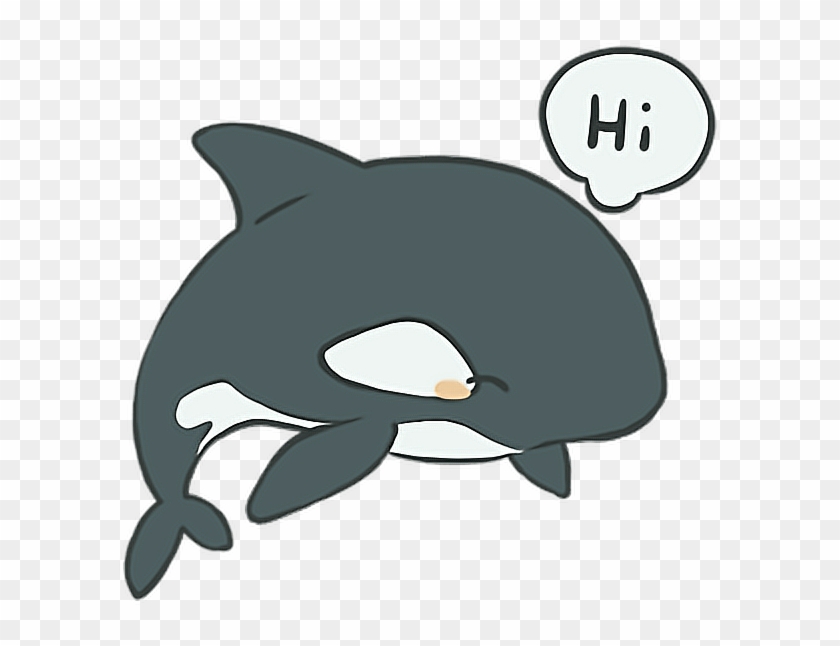 orca #whale #animation #text #kawaii #animal #freetoedit - Cartoon, HD Png  Download - 740x640(#4558629) - PngFind