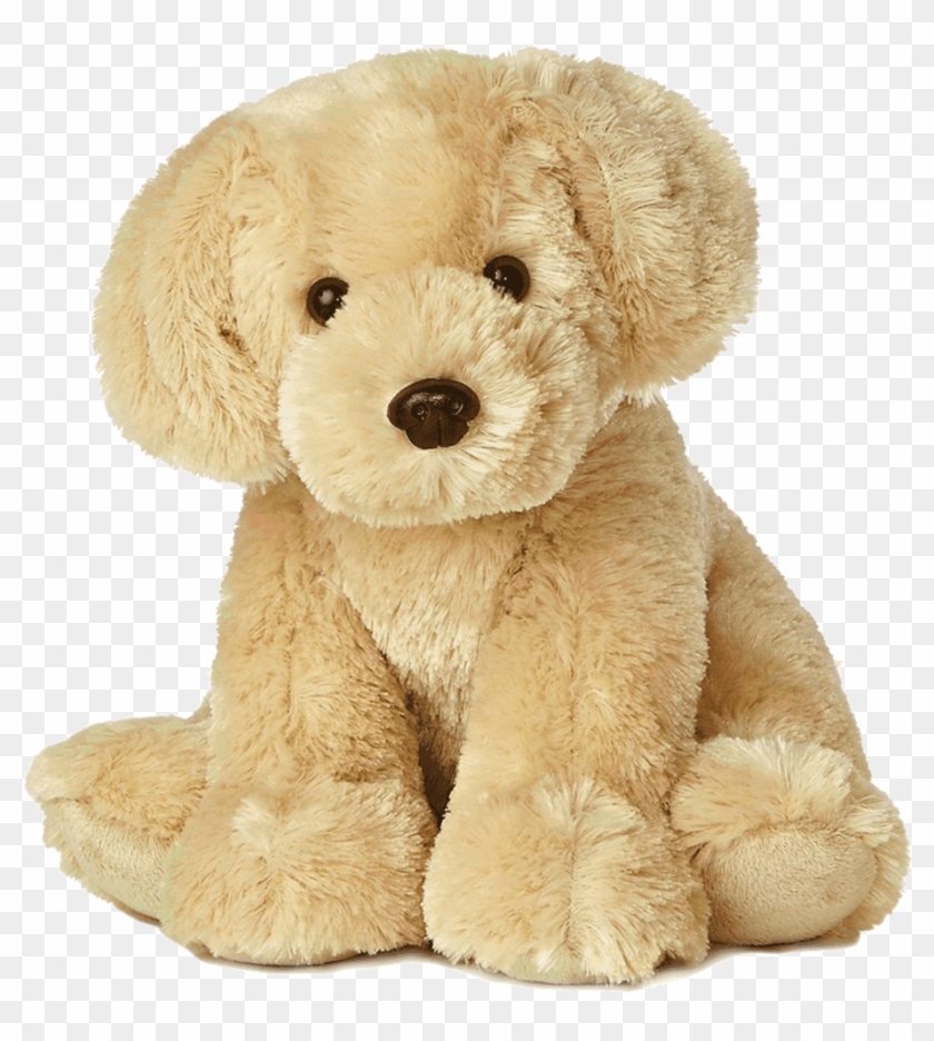 labrador dog teddy