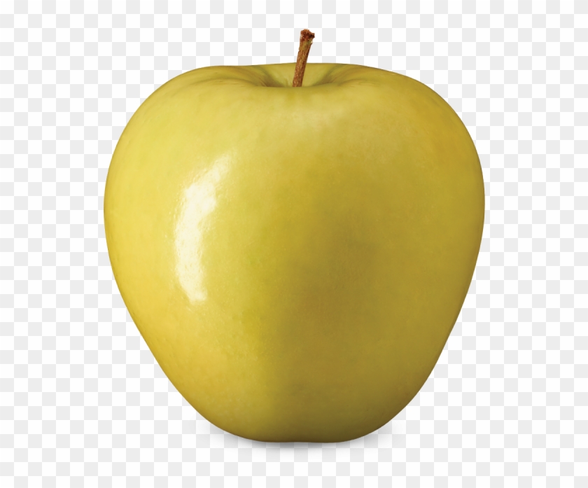 Golden Delicious Golden Delicious Apple Png Transparent Png 7x7 Pngfind