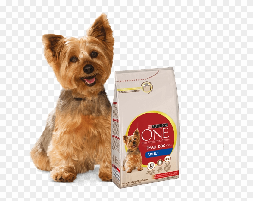 empire state k9 training