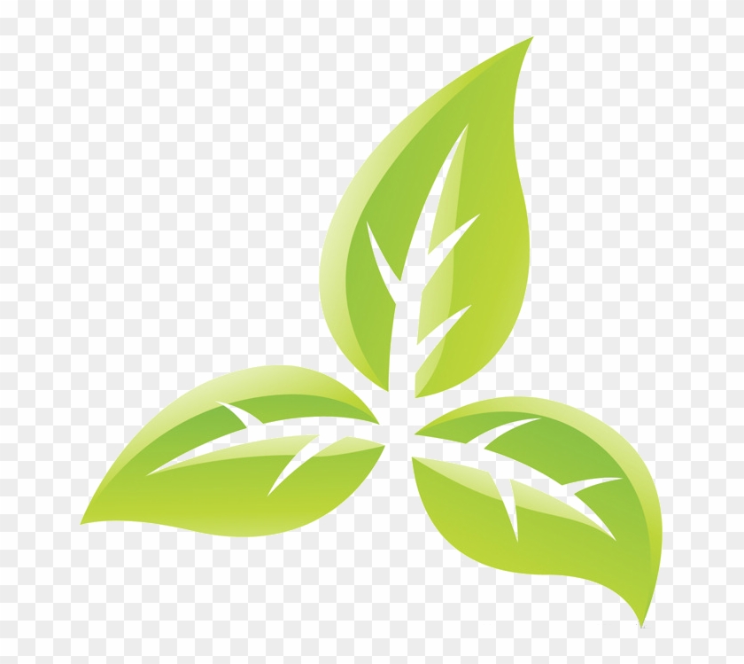 Best Bootcamp Norwich - Tobacco Plant Symbol, HD Png Download -  661x669(#4602252)