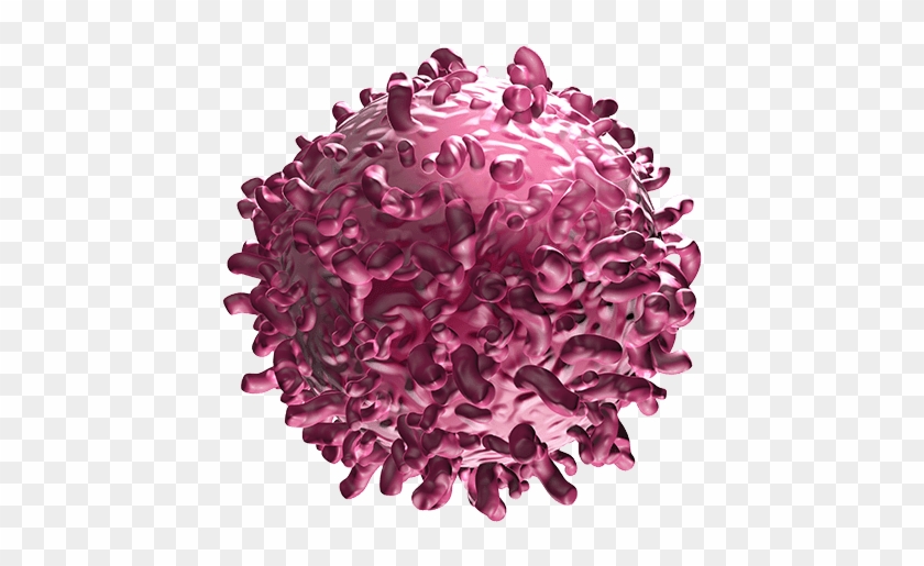 Bispecific Tcell Engager, Cancer Cell, Cancer, Pink, - Cartoon Cancer Cells,  HD Png Download - 576x576(#4613413) - PngFind