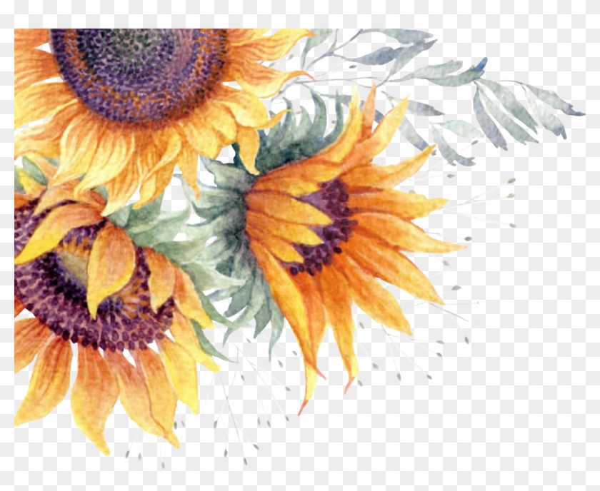 Featured image of post Aesthetic Sunflower Png Aesthetic sunflower png collections download alot of images for aesthetic sunflower download free with high quality for designers