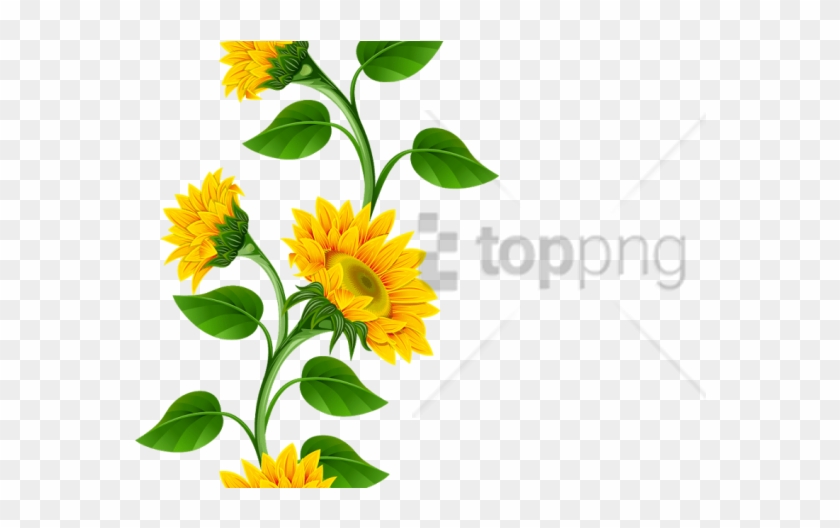 Free Transparent Sunflower Corner Border Clipart SVG PNG EPS DXF File
