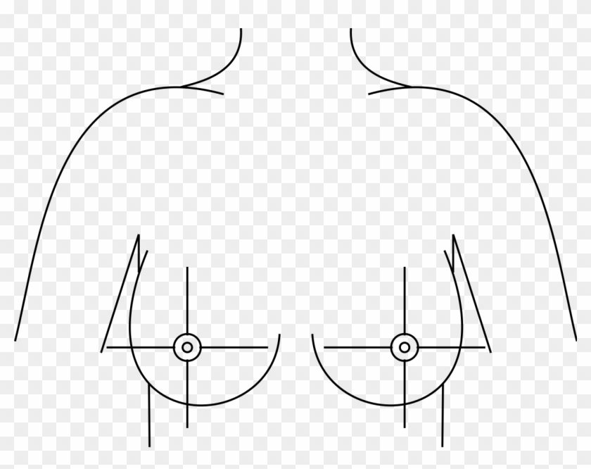 File - Breast Quadrants - Svg - Breast Diagram Black And White, HD Png