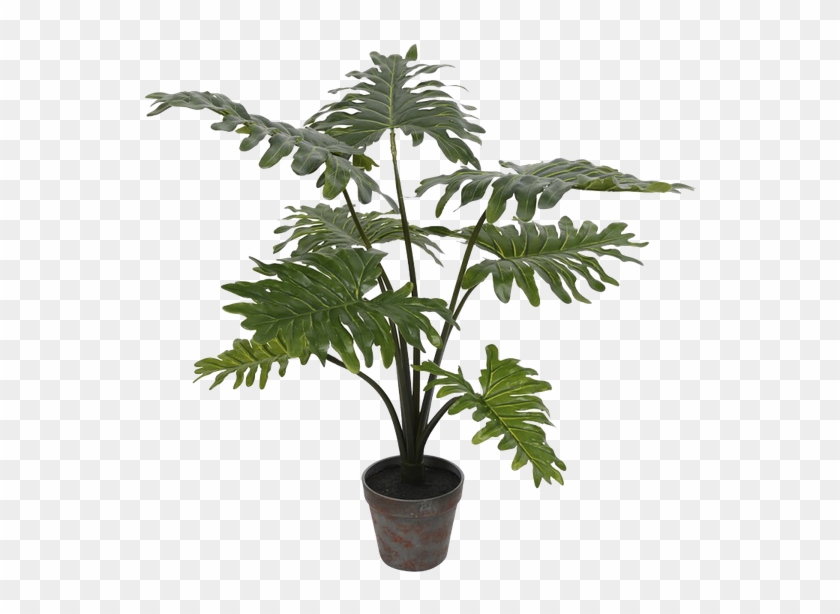 Artificial Potted Grand Floor Philodendron Tree In - Philodendron Faux, HD  Png Download - 600x600(#4635127) - PngFind