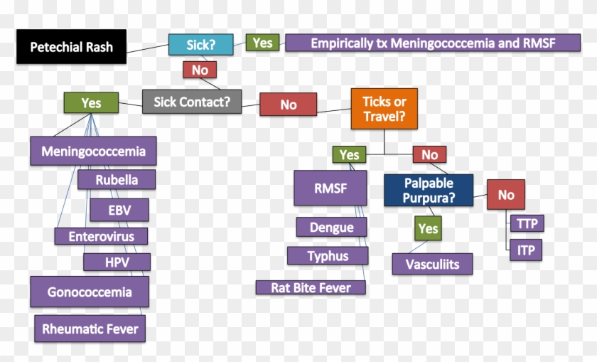 Rash Chart