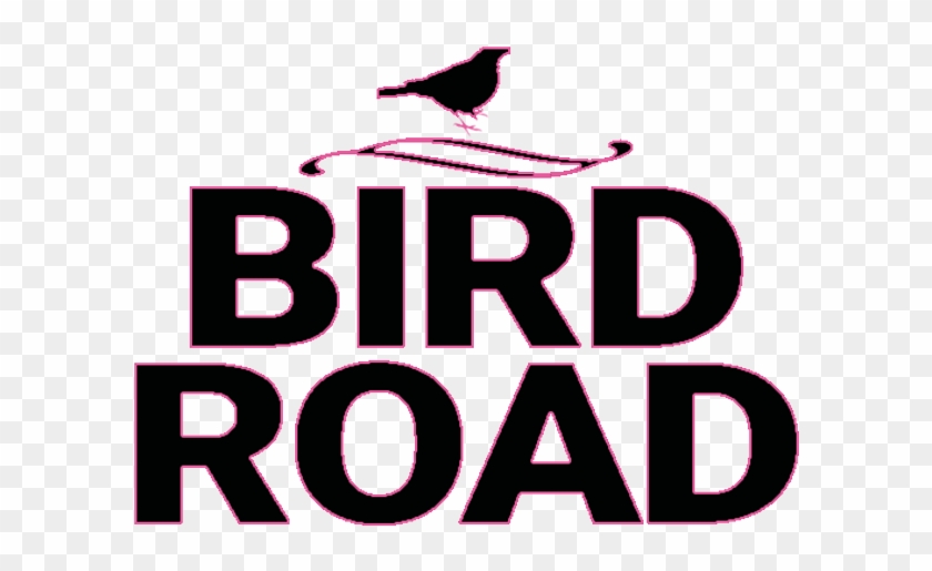 Dads bird
