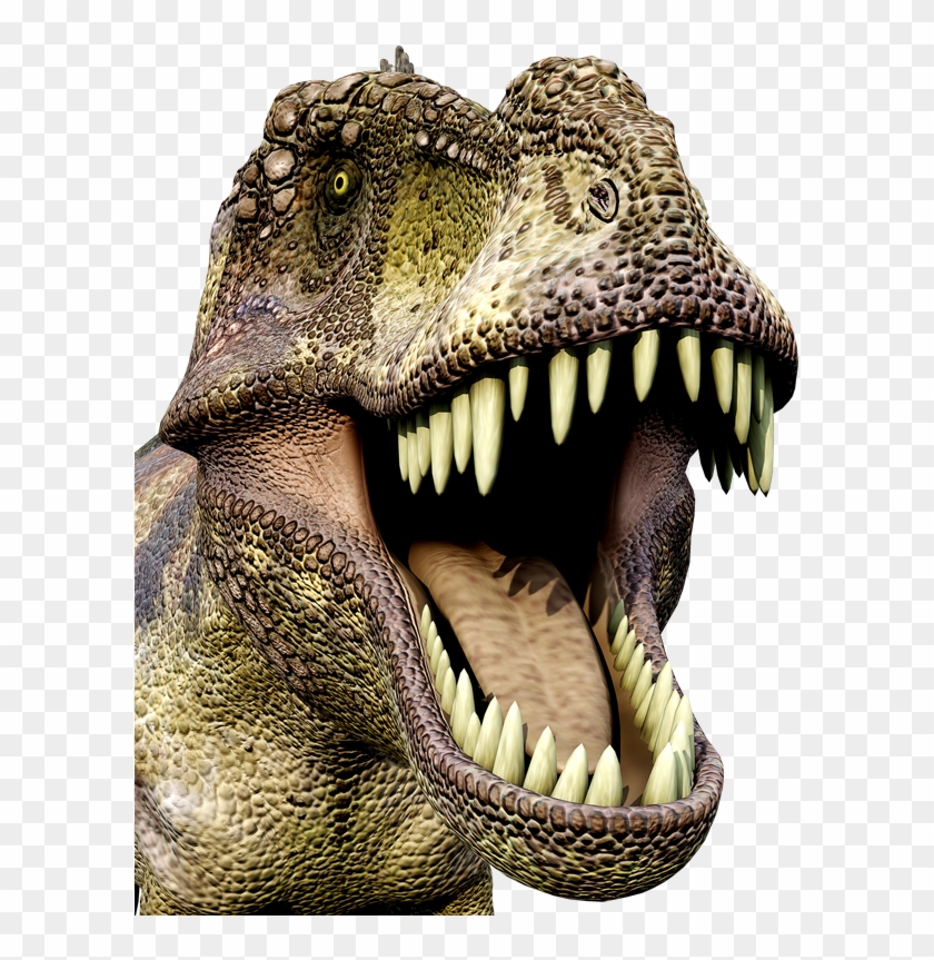 Dinosaurios, HD Png Download - 618x800(#4648834) - PngFind Dinosaurios, HD Png Download - 618x800(#4648834) - PngFind