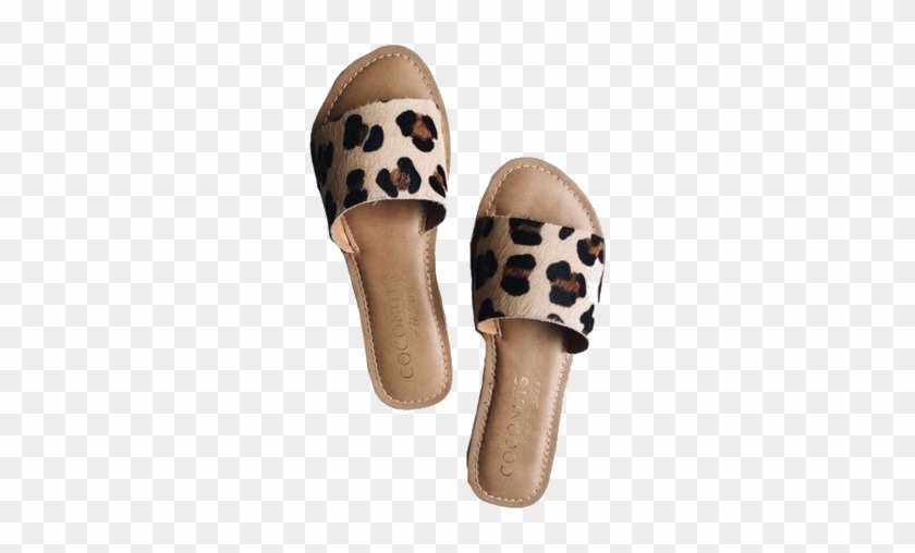 coconuts cheetah sandals