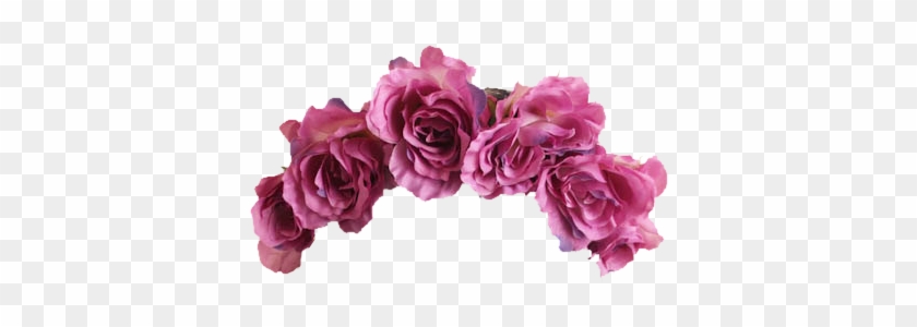 Coroa Linda Rosas Flower Crown White Background Hd Png Download 427x272 4687022 Pngfind