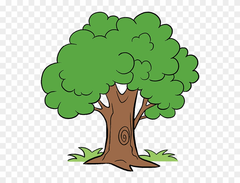 Cartoon Trees With Transparent Background - Tree Cartoon, HD Png Download -  678x600(#4697116) - PngFind