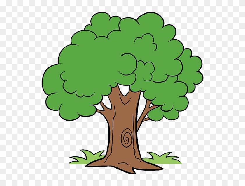 Cartoon Trees With Transparent Background - Tree Cartoon, HD Png