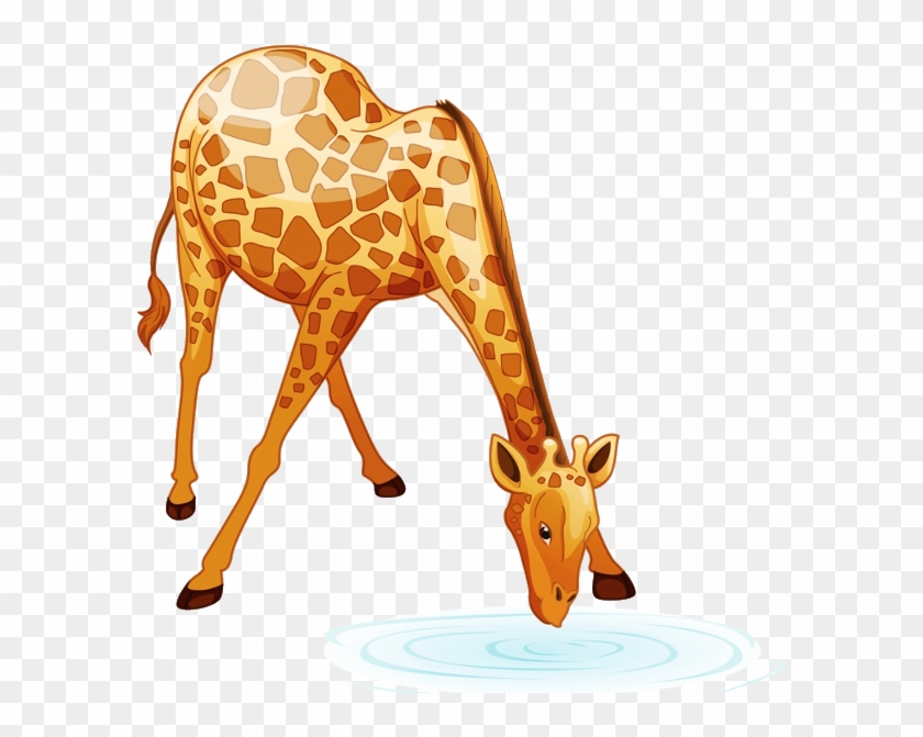 Giraffe Cartoon Animal Images - Cartoon Giraffe Bending Neck, HD Png Download - 600x600(#4697274) - PngFind Giraffe Cartoon Animal Images - Cartoon Giraffe Bending Neck, HD Png Download - 600x600(#4697274) - PngFind