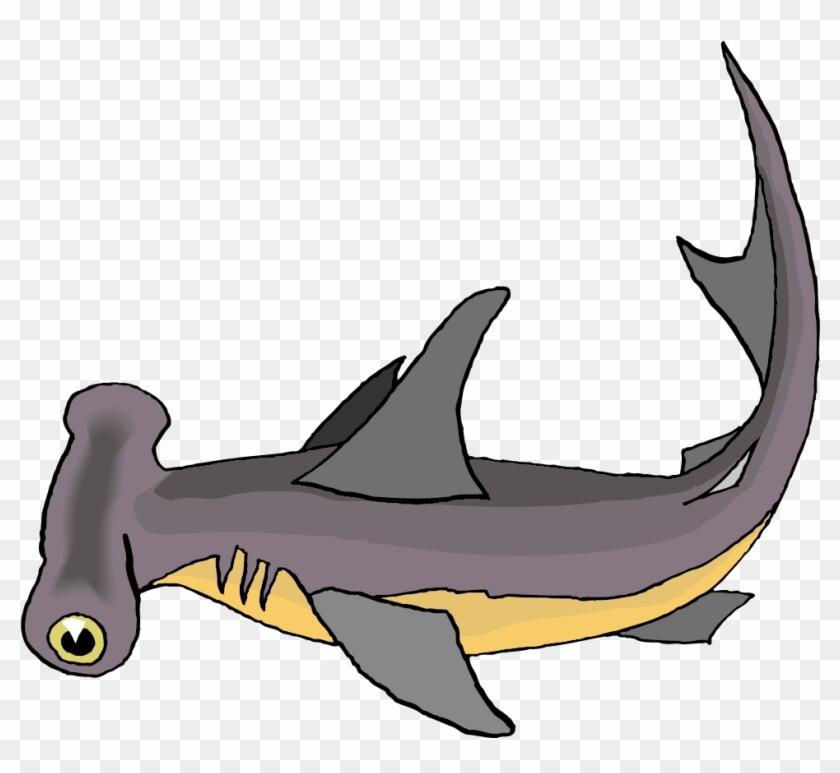 Cute Cartoon Hammerhead Sharks , Png Download - Easy Cartoon Hammer Head  Shark, Transparent Png - 972x849(#4703129) - PngFind