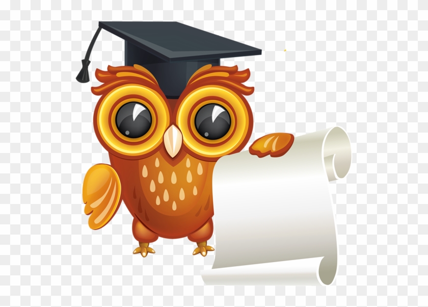 Graduation Owl Png Owl Graduation Clipart Transparent Png