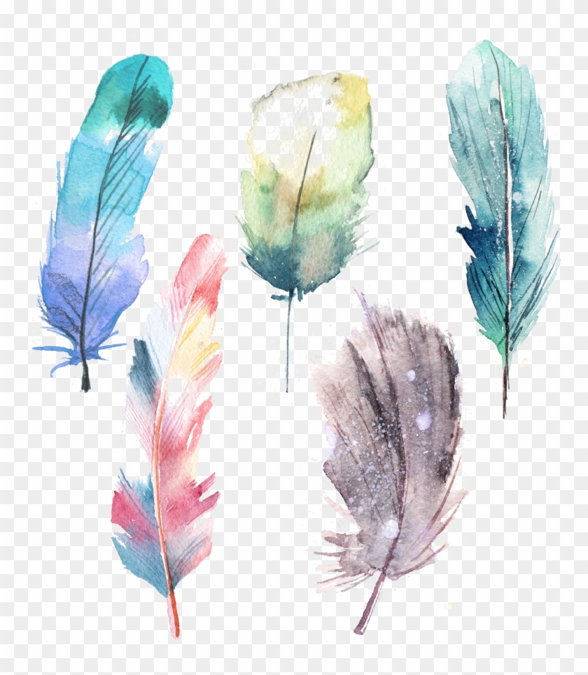 Watercolor Feathers Png Transparent Png 4724x4724 4730336 Pngfind