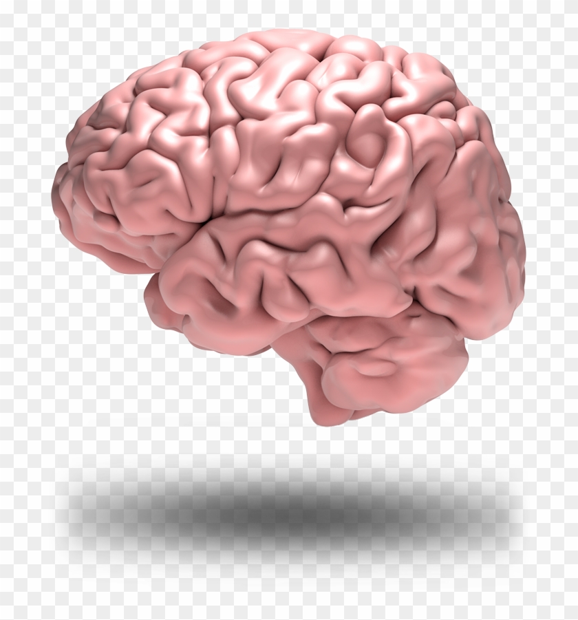 Brain Grid - Illustration, HD Png Download - 701x1000(#4731829) - PngFind