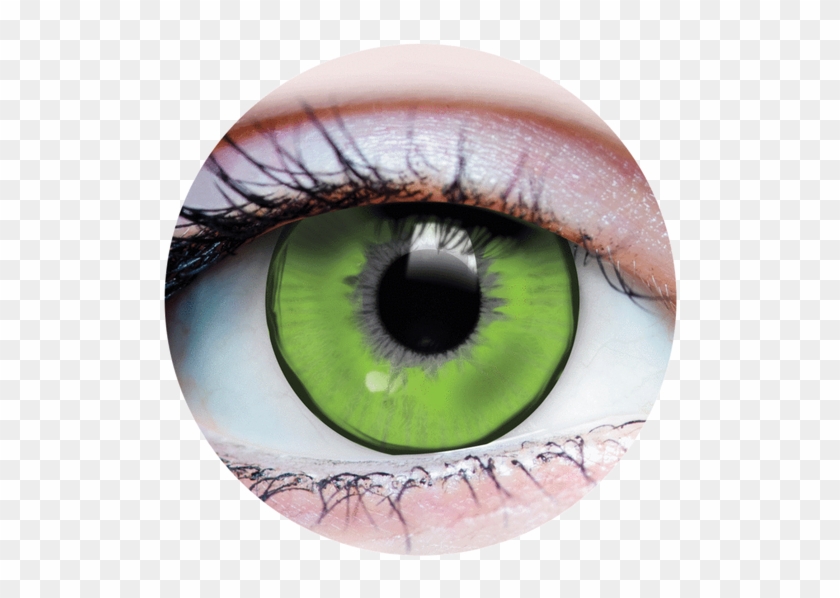 Primal Lizard King Contacts - Ash Grey Starlight Contacts, HD Png ...